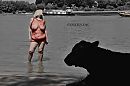 Lady in red, foto 1936x1296, 29 reacties, 176 stemmen