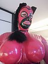 Latex Doll, foto 2448x3264, 5 reacties, 27 stemmen