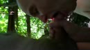 Lekker pijpen in het bos, film 00:00:00, 21 reacties, 105 stemmen