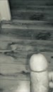 Lekker spuiten, film 00:00:11, 8 reacties, 16 stemmen