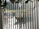 Lekker trekken voor, film 00:00:00, 1 reacties, 3 stemmen