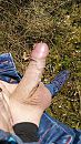 Lekker, foto 1836x3264, 4 reacties, 9 stemmen