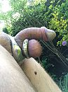 Lekker buiten in de tuin, foto 2320x3088, 11 reacties, 31 stemmen