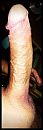 Lekker close up, foto 686x2048, 1 reacties, 1 stemmen