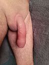 Lekker dik en vlezig, foto 540x720, 18 reacties, 27 stemmen