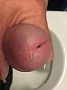 Lekker eikel, foto 3000x4000, 0 reacties, 2 stemmen