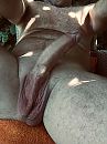 Lekker genieten in de tuin, foto 1932x2576, 2 reacties, 14 stemmen
