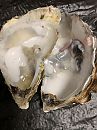 Lekker oestertje leeg geslurpt, foto 3000x4000, 1 reacties, 1 stemmen