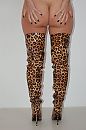 Lekkere panter (1): na alle.., foto 1496x2256, 12 reacties, 75 stemmen