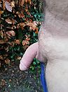 Lekkere slappe hap, foto 3000x4000, 1 reacties, 8 stemmen