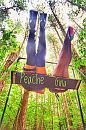 Let's swing!!!, foto 2602x3908, 10 reacties, 115 stemmen