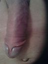 Licht wel lekker zo, foto 450x600, 34 reacties, 75 stemmen