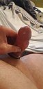 Lick him, foto 1944x4000, 1 reacties, 5 stemmen