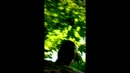 Liefhebbers van buitensex ?, film 00:00:00, 11 reacties, 49 stemmen