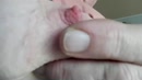 Live chat with neighbour lady, film 00:00:14, 1 reacties, 12 stemmen