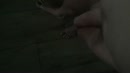 Loop je...., film 00:00:00, 1 reacties, 10 stemmen