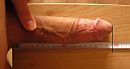 Meneer President, foto 2473x1313, 25 reacties, 55 stemmen