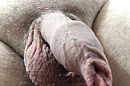 Mijn clit, foto 480x320, 5 reacties, 9 stemmen