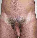 Uit de oude doos, foto 729x737, 3 reacties, 7 stemmen