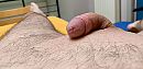 Mijn penis, foto 3854x1880, 0 reacties, 1 stemmen