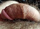 Mijn pik, foto 1138x854, 2 reacties, 5 stemmen