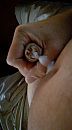 M'n stikkie, foto 1078x1919, 4 reacties, 16 stemmen