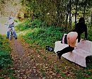 Moet toch eens gaan fietsen, foto 937x815, 2 reacties, 43 stemmen