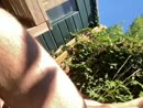 Mooie zomer, film 00:00:07, 2 reacties, 10 stemmen