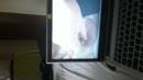 My neighbour lady  wants to, film 00:00:19, 1 reacties, 4 stemmen