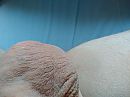My balls, foto 4000x3000, 0 reacties, 2 stemmen