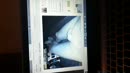 Mylust is my lust, film 00:00:15, 1 reacties, 2 stemmen