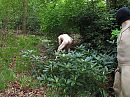Naakt in het bos......Heerlijk, foto 2588x1941, 11 reacties, 56 stemmen