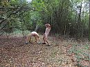 Naakt in het bos, foto 2304x1728, 20 reacties, 80 stemmen