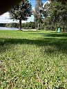 Naaktstrand, foto 3000x4000, 7 reacties, 27 stemmen