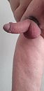 Net gemaakt, foto 1944x4000, 9 reacties, 32 stemmen