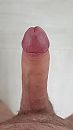 Net hard gelopen, foto 2250x4000, 1 reacties, 2 stemmen