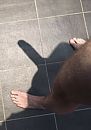 Net niet naakt, foto 828x1177, 0 reacties, 2 stemmen