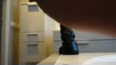Nieuwe dildo, film 00:00:00, 29 reacties, 52 stemmen