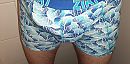 Nieuwe boxer...., foto 3811x1895, 1 reacties, 6 stemmen