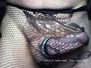 Nylon 3, foto 1280x960, 3 reacties, 21 stemmen