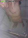Ochtend  spanning, foto 412x550, 2 reacties, 6 stemmen