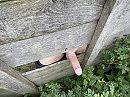 Of een gloryhole in de natuur, foto 4000x3000, 7 reacties, 26 stemmen