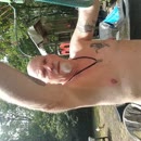 Onze bos douche., film 00:00:00, 12 reacties, 61 stemmen
