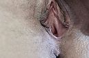 Ook van mijn grotje, close-up, foto 3315x2188, 15 reacties, 114 stemmen