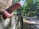 Op een hekje, foto 4000x3000, 6 reacties, 22 stemmen