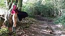 Op en top genoten, foto 3552x1998, 19 reacties, 159 stemmen