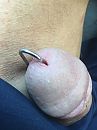 Op naar......, foto 2448x3264, 4 reacties, 16 stemmen