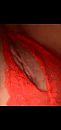 Open, foto 1080x2280, 2 reacties, 16 stemmen