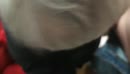 Our first blowjob with happy, film 00:00:30, 2 reacties, 27 stemmen