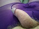 Panty, foto 4000x3000, 2 reacties, 2 stemmen